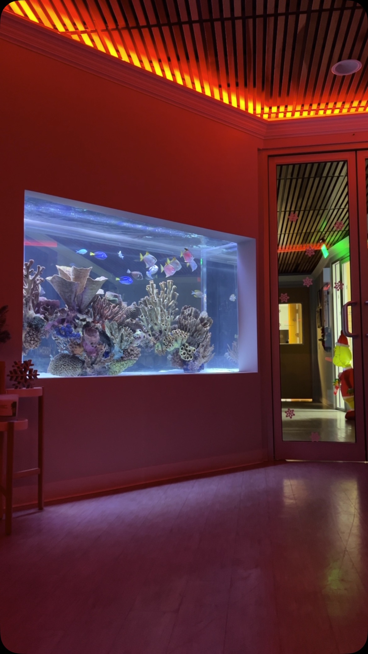What’s your favorite color? 🌈
.
.
.
.
#customaquarium #customfishtank #saltwateraquarium #saltwaterfish #oceansaquariumdesign #oceansaquarium #aquariumdesign