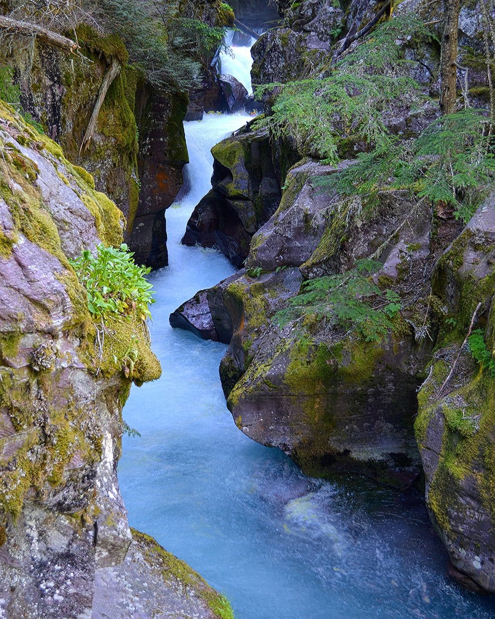 Over the weekend, three visitors at Glacier National Park fell into Avalanche Creek while posing for a photo. One managed to grab a branch; two were swept downstream.
