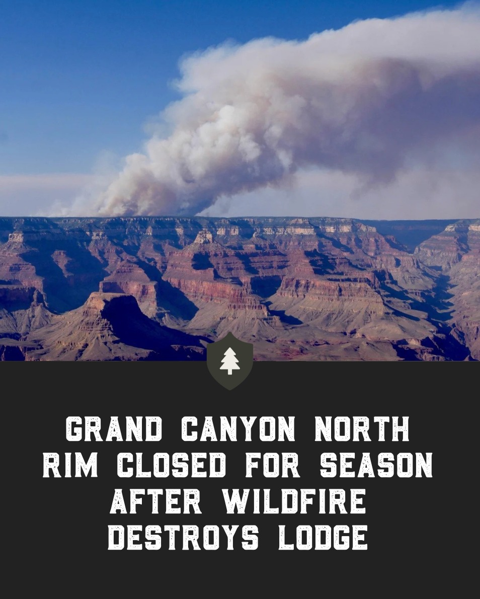 When the Dragon Bravo Fire began on July 4, the NPS decided to manage it as a controlled burn in a defined perimeter.