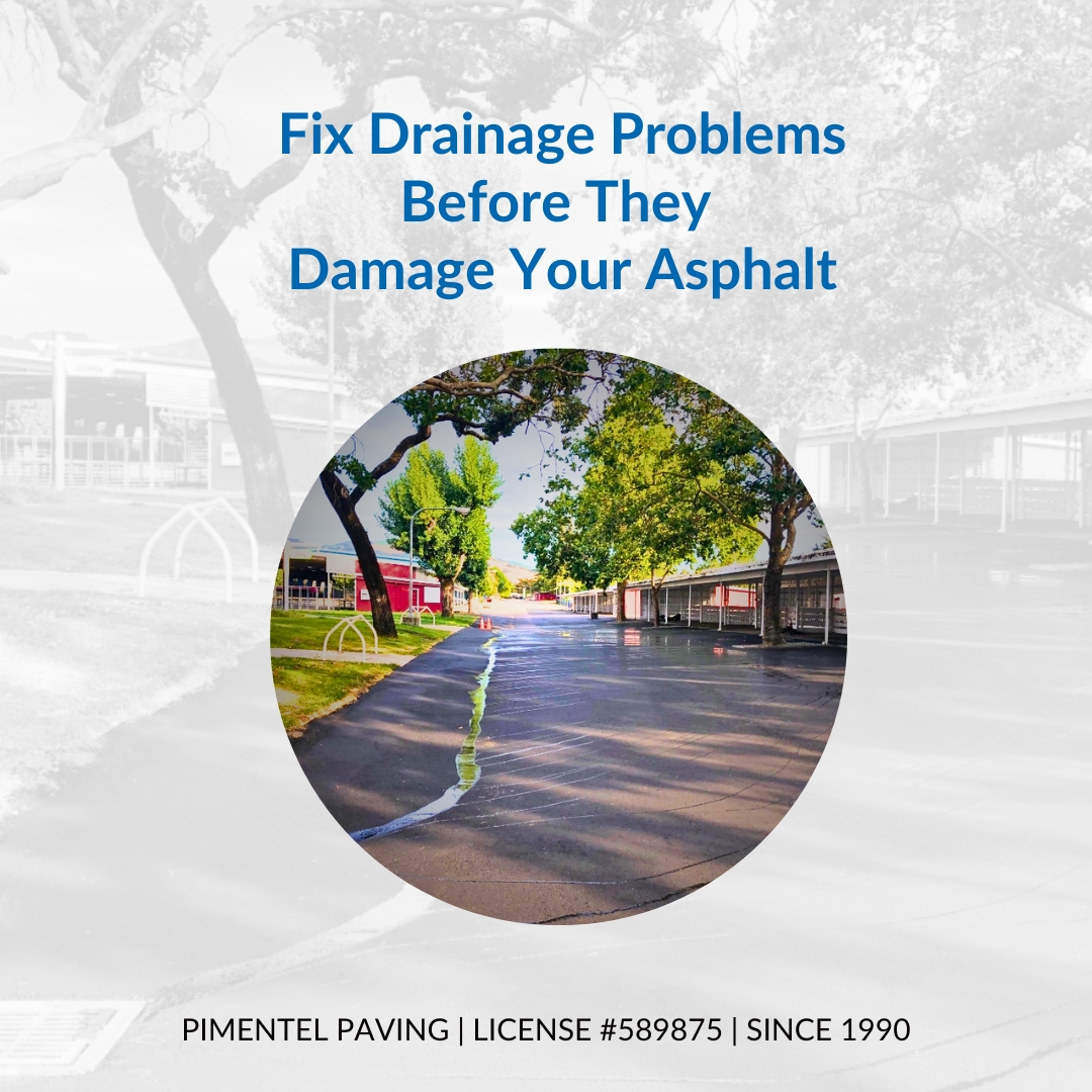 Fix Drainage Problems Before They Damage Your Asphalt
ㅤ
Water may seem harmless, but when it doesn’t drain properly, it’s one of the fastest ways asphalt starts to fail. Poor drainage can shorten the life of your pavement and lead to repairs that could have been avoided.
ㅤ
Here are a few of the most common drainage issues we see:
• Standing water that weakens asphalt and leads to cracking
• Improper slope or grading that keeps water trapped on the surface
• Clogged drains or catch basins that cause pooling after storms
• Low spots and cracks where water penetrates the base
• Edge erosion that eventually turns into crumbling and potholes
ㅤ
The good news? These problems are very fixable, especially when caught early.
ㅤ
Here’s an example of our work at the Sonoma County Fairgrounds in Santa Rosa. We removed the existing paving and replaced it with fresh asphalt in this high traffic area near the animal pens. We created an asphalt swale to guide the water runoff naturally into an in-ground drain. The result was better drainage and longer-lasting pavement in an area where safety for people on foot and in utility vehicles is key.
ㅤ
At Pimentel Paving, we look at drainage as a critical part of every paving project, because a smooth asphalt surface only lasts when water has somewhere to go.
ㅤ
If you’re noticing puddles, pooling, or uneven areas, give us a call. Addressing drainage now can help you avoid bigger repairs later.
ㅤ
#AsphaltPaving #ParkingLotMaintenance #DrainageSolutions #CommercialPaving #PimentelPavingInc