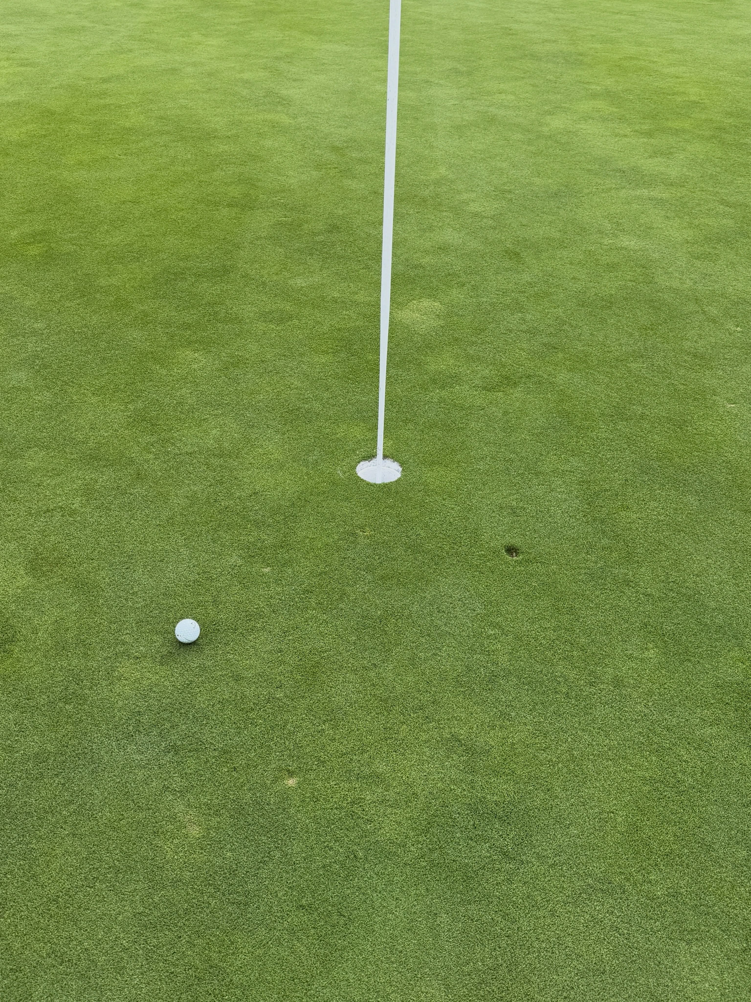 Such a fun day today with the guys from my Local 727p, not only did we win the scramble, but I also won the putting contest, the long drive contest, and the closest to the pin contest at the GDoA/TLC Charity Golf Tournament hosted by Locals 755 and 1125 at the Rancho Bernardo Inn Golf Course.